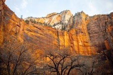 Zion National Park - 해외 Talk Zion National Park