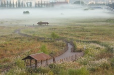 대명 유수지 일출 - 팝코넷 | 베스트 갤러리 대명 유수지 일출