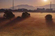 빛 - 팝코넷 | 베스트 갤러리 빛