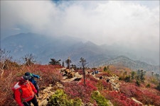 sd15)추색완연한 설악 서북능선- # 2 - 팝코넷 | 걸작 갤러리 sd15)추색완연한 설악 서북능선- # 2