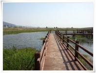 [SHW-M110S]대저생태 2공원(맥도생태공원) - 모바일 Talk [SHW-M110S]대저생태 2공원(맥도생태공원)