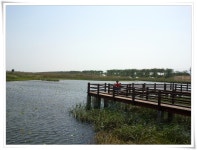 [SHW-M110S]대저생태 2공원(맥도생태공원) - 모바일 Talk [SHW-M110S]대저생태 2공원(맥도생태공원)