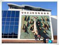 [SHV-E210S] 장생포고래박물관 - 모바일 Talk [SHV-E210S] 장생포고래박물관