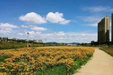 G3 - 자전거길 - 모바일 Talk G3 - 자전거길