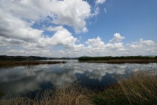 경남의 대표습지 주남저수지 - 포토에세이 경남의 대표습지 주남저수지
