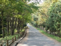 [출사지 소개] 부산 감지해변 산책로 - 포토에세이 [출사지 소개] 부산 감지해변 산책로