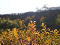 하루 46,000보 걷기 - 포토에세이 하루 46,000보 걷기