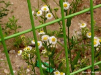 가입했습니다. - 팝코넷 | 포토 갤러리 가입했습니다.