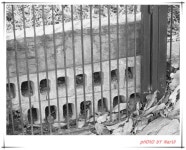 동물원가는길 - 팝코넷 | 포토 갤러리 동물원가는길