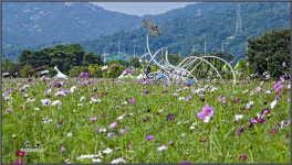 구리한강시민공원-2 - 팝코넷 | 포토 갤러리 구리한강시민공원-2