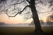 뮌헨의 영국정원 - 팝코넷 | 포토 갤러리 뮌헨의 영국정원