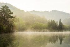 세량지의 봄 - 팝코넷 | 포토 갤러리 세량지의 봄