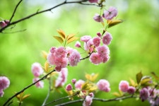 경주 산림환경 연구원 - 팝코넷 | 포토 갤러리 경주 산림환경 연구원