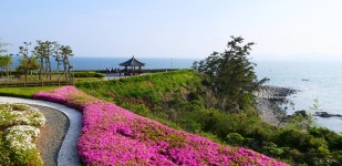 가덕해양파크휴게소 - 팝코넷 | 포토 갤러리 가덕해양파크휴게소