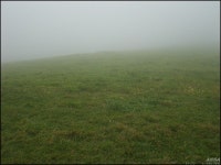 [z70]정동진에서 대관령목장에서......... - 팝코넷 | 포토 갤러리 [z70]정동진에서 대관령목장에서.........