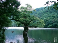 주왕산 그리고 주산지 - 팝코넷 | 포토 갤러리 주왕산 그리고 주산지