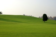 올림픽공원의 초록... - 팝코넷 | 포토 갤러리 올림픽공원의 초록...