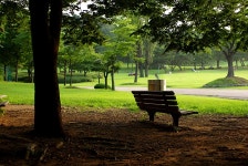 올림픽공원의 초록... - 팝코넷 | 포토 갤러리 올림픽공원의 초록...