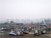 소래포구의 새벽 - 팝코넷 | 포토 갤러리 소래포구의 새벽