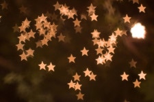 버섯 칼국수. - 팝코넷 | 포토 갤러리 버섯 칼국수.