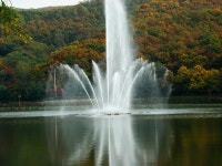 율동공원 의 가을.. - 팝코넷 | 포토 갤러리 율동공원 의 가을..