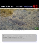 터치 그 새로움을 찍다 3주차- G2 AVCHD 7가지 동영상 응용 - 팝코넷 | 체험단 사용기 터치 그 새로움을 찍다 3주차- G2 AVCHD 7가지... 
