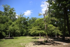 LG블루투스 스피커 NP7550과 국립수목원(광릉수목원) 나들이~ - 체험단사용기 LG블루투스 스피커 NP7550과 국립수목원(광릉수목원) 나들이~