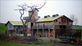 삼양의 야심작 50mm F1.2 AS UMC CS 풀리뷰 입니다.~ - 삼양 Talk [X... 위해 태어나다! 삼양의 야심작 50mm F1.2 AS UMC CS 풀리뷰 입니다.~