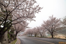 [D5 + 14mm] ULTRA WIDE그 자체입니다. - 삼양 Talk [D5 + 14mm] ULTRA WIDE그 자체입니다.