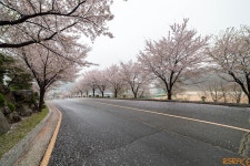 [D5 + 14mm] ULTRA WIDE그 자체입니다. - 삼양 Talk [D5 + 14mm] ULTRA WIDE그 자체입니다.