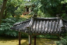 [A7R II+AF50] 창덕궁 후원 - 삼양 Talk [A7R II+AF50] 창덕궁 후원