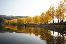 [85.4] 괴산 문광저수지 - 팝코넷 | 팝게&톡 이슈게시판 [85.4] 괴산 문광저수지