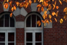 [85.4] 가을날에.... - 삼양 Talk [85.4] 가을날에....