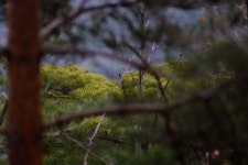 [85.4] 북한산 오르던 중 - 삼양 Talk [85.4] 북한산 오르던 중