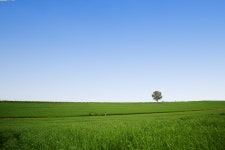 안성팜랜드 - 삼양 Talk 안성팜랜드