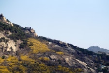 봄날의 안산 둘레길 - 삼양 Talk 봄날의 안산 둘레길