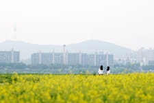 반포 서래섬 해질녘. - 삼양 Talk 반포 서래섬 해질녘.