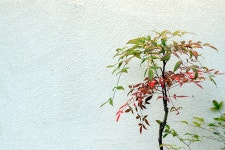 삼양열쇠문구서점 | 익선동 둘러보기 2 - 삼양 Talk 익선동 둘러보기 2