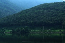 능내리 여름 - 삼양 Talk 능내리 여름