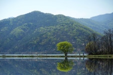 조안면 능내리 - 삼양 Talk 조안면 능내리