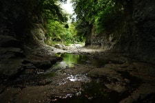 제주 안덕계곡 - 팝코넷 | 팝게&톡 이슈게시판 제주 안덕계곡