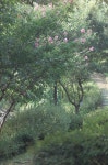 왕송저수지 - 시그마 Talk 왕송저수지