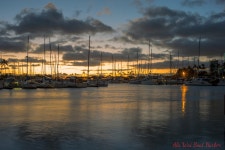 두번째 출사 (타기종) - 시그마 Talk 두번째 출사 (타기종)