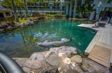 일요일날 나의 동선...#1 (타기종) - 시그마 Talk 일요일날 나의 동선...#1  (타기종)