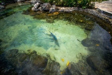 일요일날 나의 동선...#1 (타기종) - 시그마 Talk 일요일날 나의 동선...#1  (타기종)