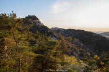 [SD1] 인왕산에서 - 시그마 Talk [SD1] 인왕산에서