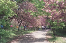 그 마을에 가고 싶다 - 시그마 Talk 그 마을에 가고 싶다