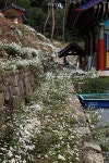 태안 홍주사에서 - 시그마 Talk 태안 홍주사에서