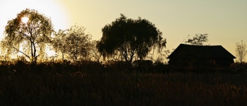 [dp3Q] 갯골의 빛 - 시그마 Talk [dp3Q] 갯골의 빛