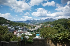 계륵 dp0 - 시그마 Talk 계륵 dp0